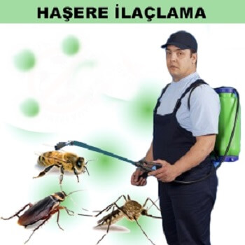 Doğanyurt Böcek İlaçlama